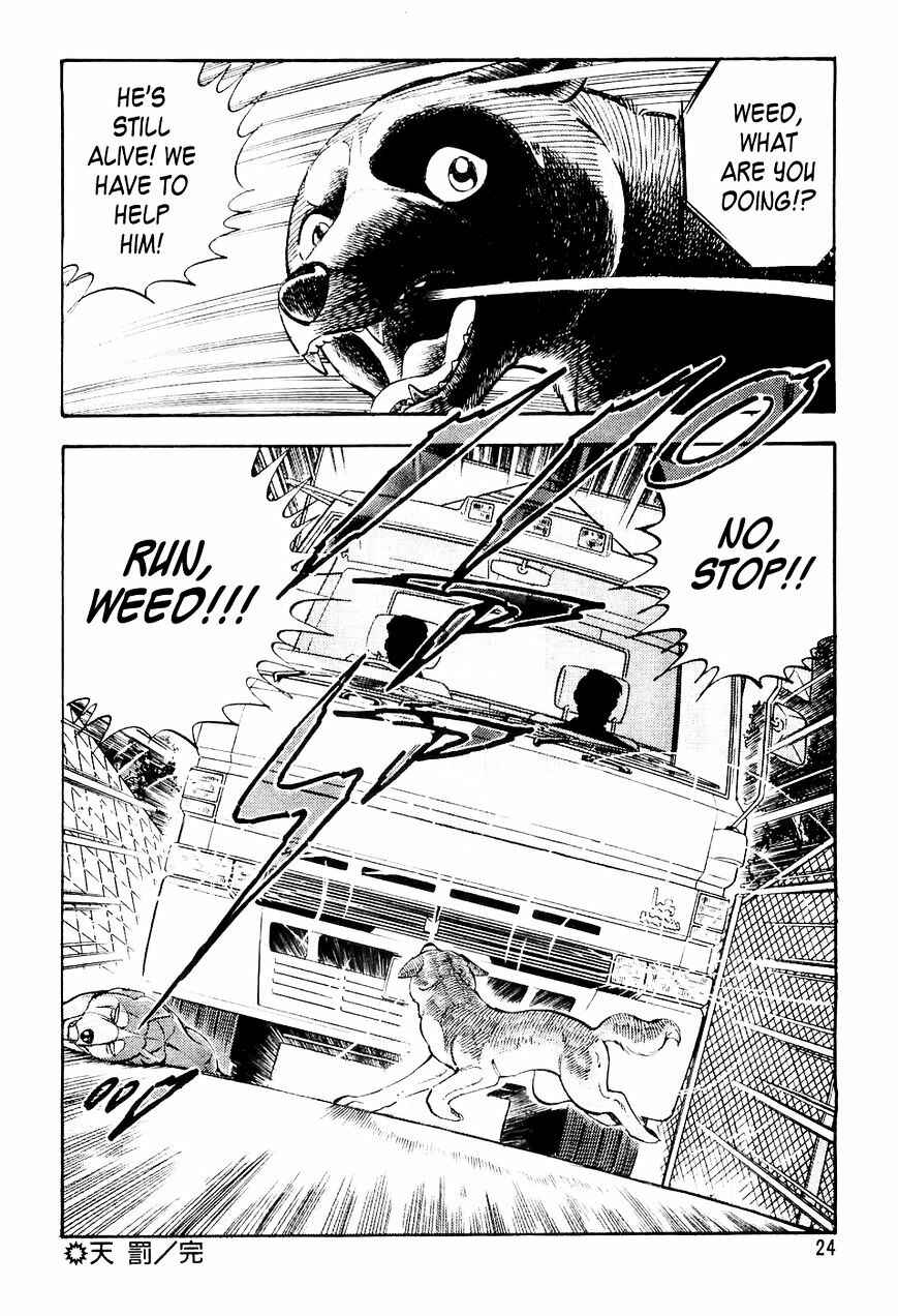 Ginga Densetsu Weed Chapter 11 - Page 21