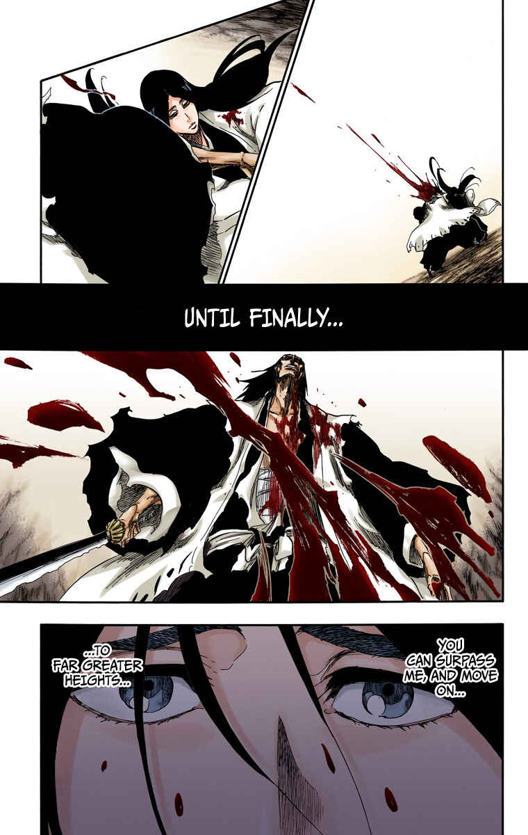 Bleach (Official Colored) Chapter 525 - Page 17