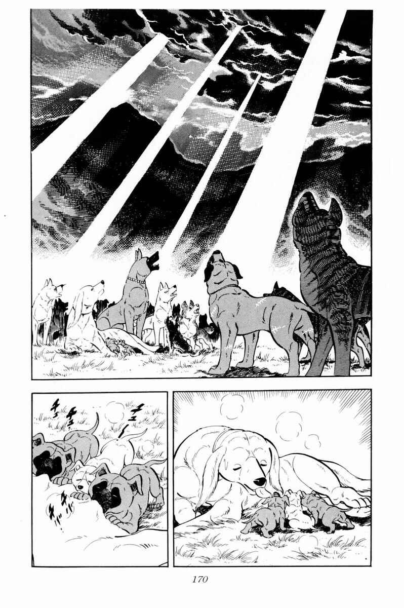 Silver Fang – The Shooting Star Gin – Chapter 34 - Page 10