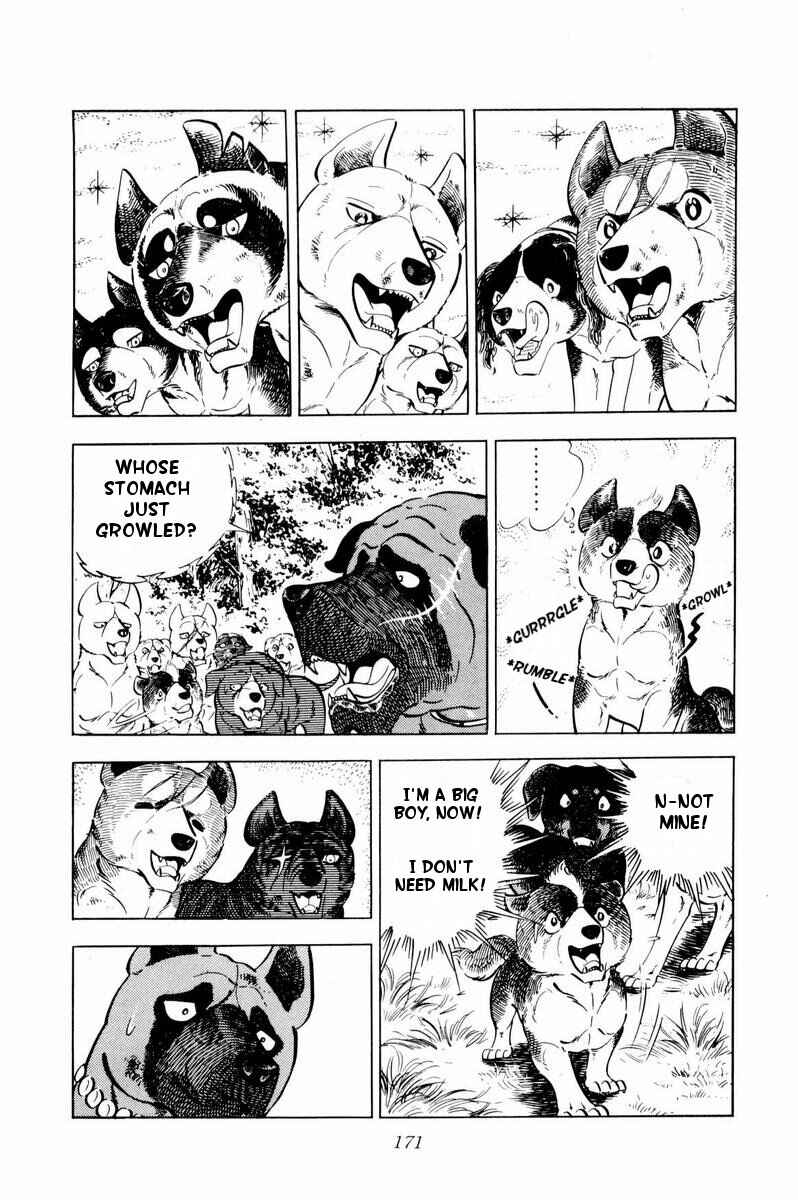 Silver Fang – The Shooting Star Gin – Chapter 34 - Page 11