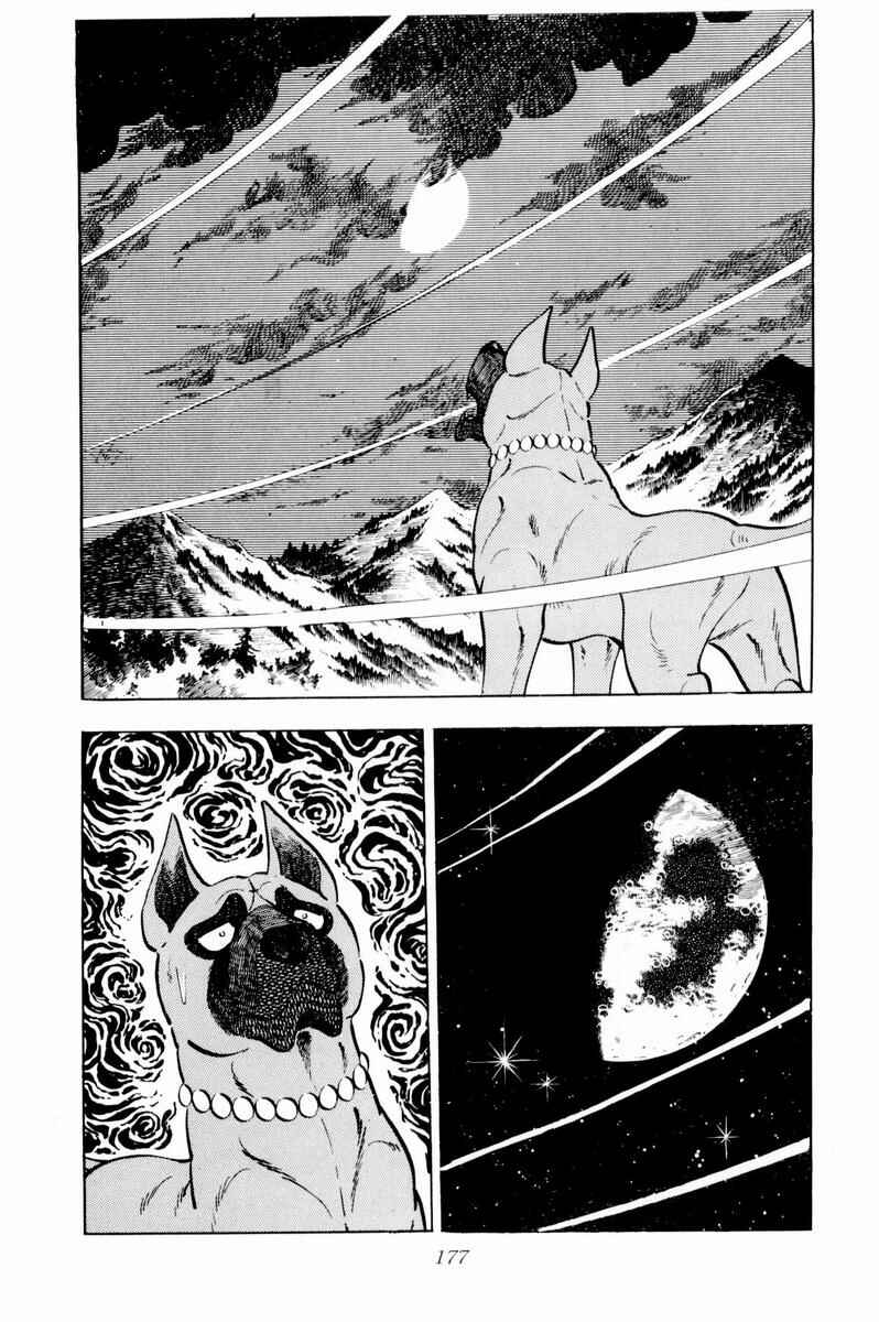 Silver Fang – The Shooting Star Gin – Chapter 34 - Page 17