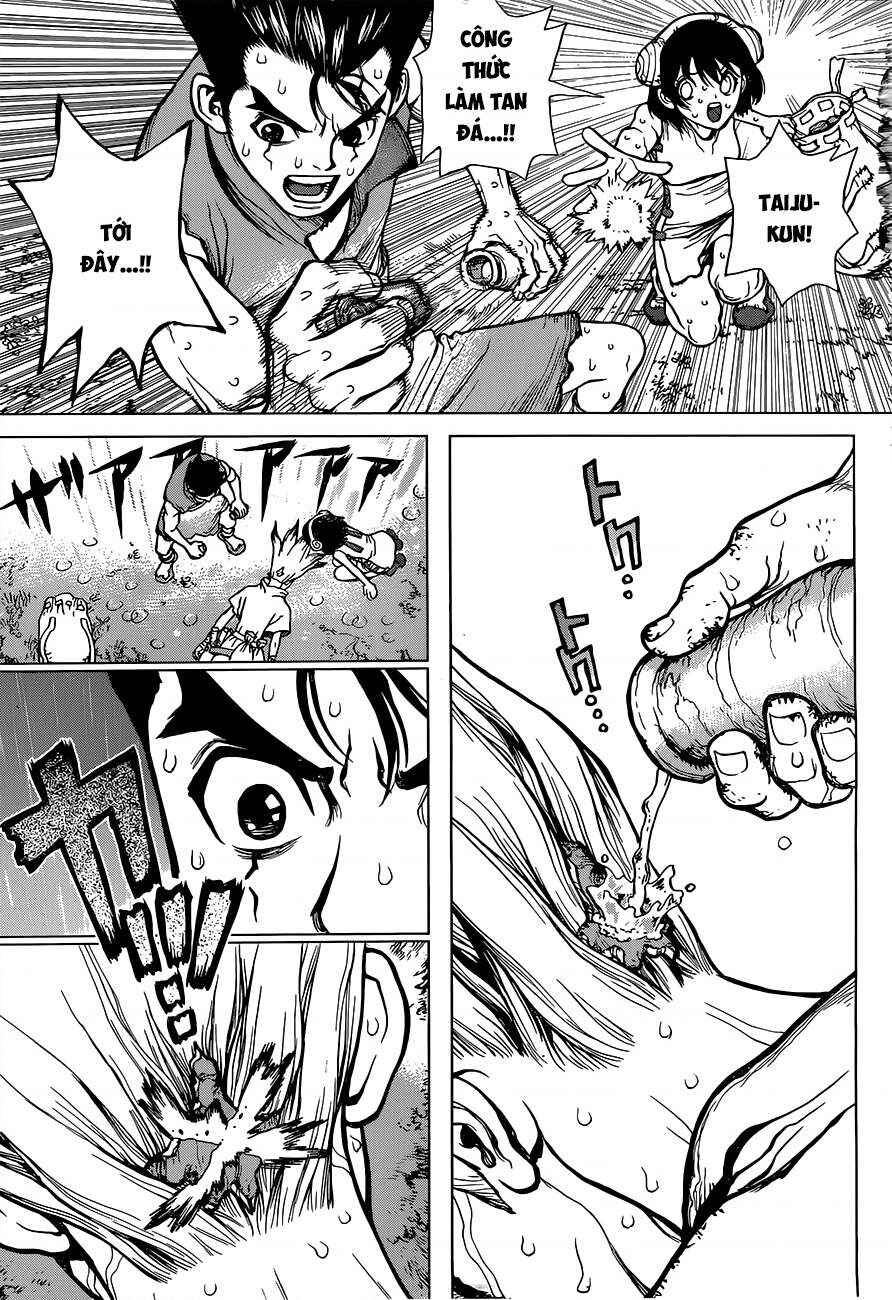 Dr.STONE Chapter 12 - Page 14