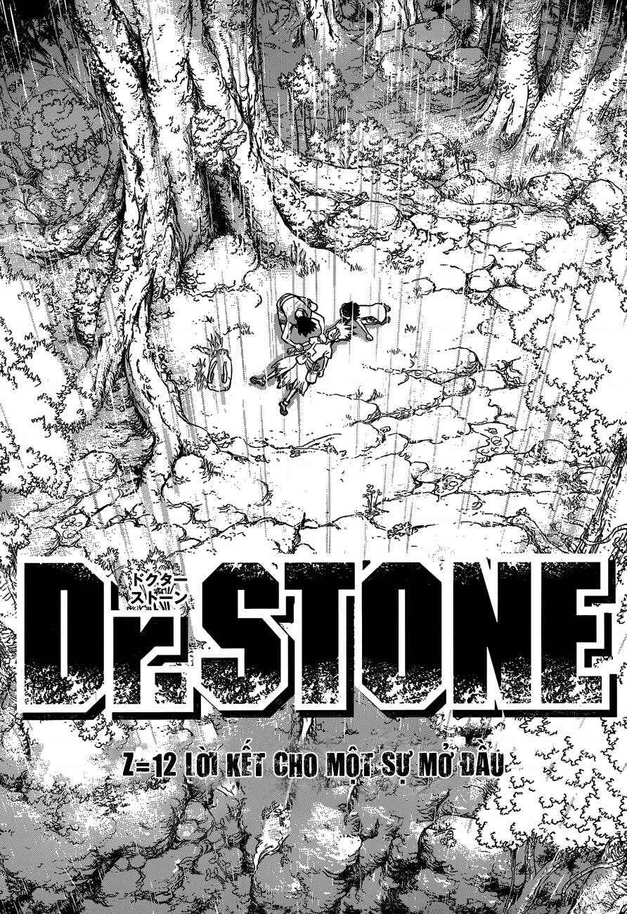Dr.STONE Chapter 12 - Page 17