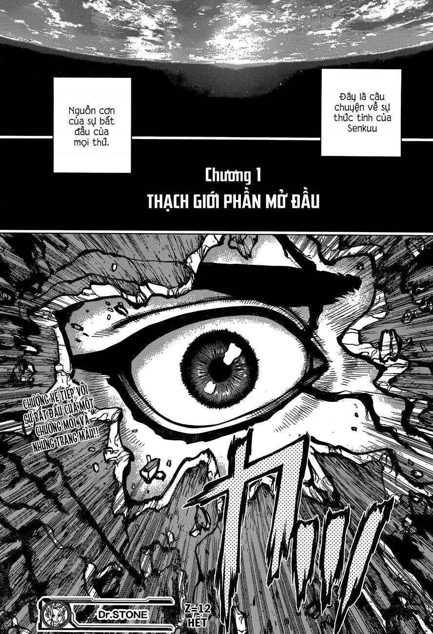 Dr.STONE Chapter 12 - Page 19