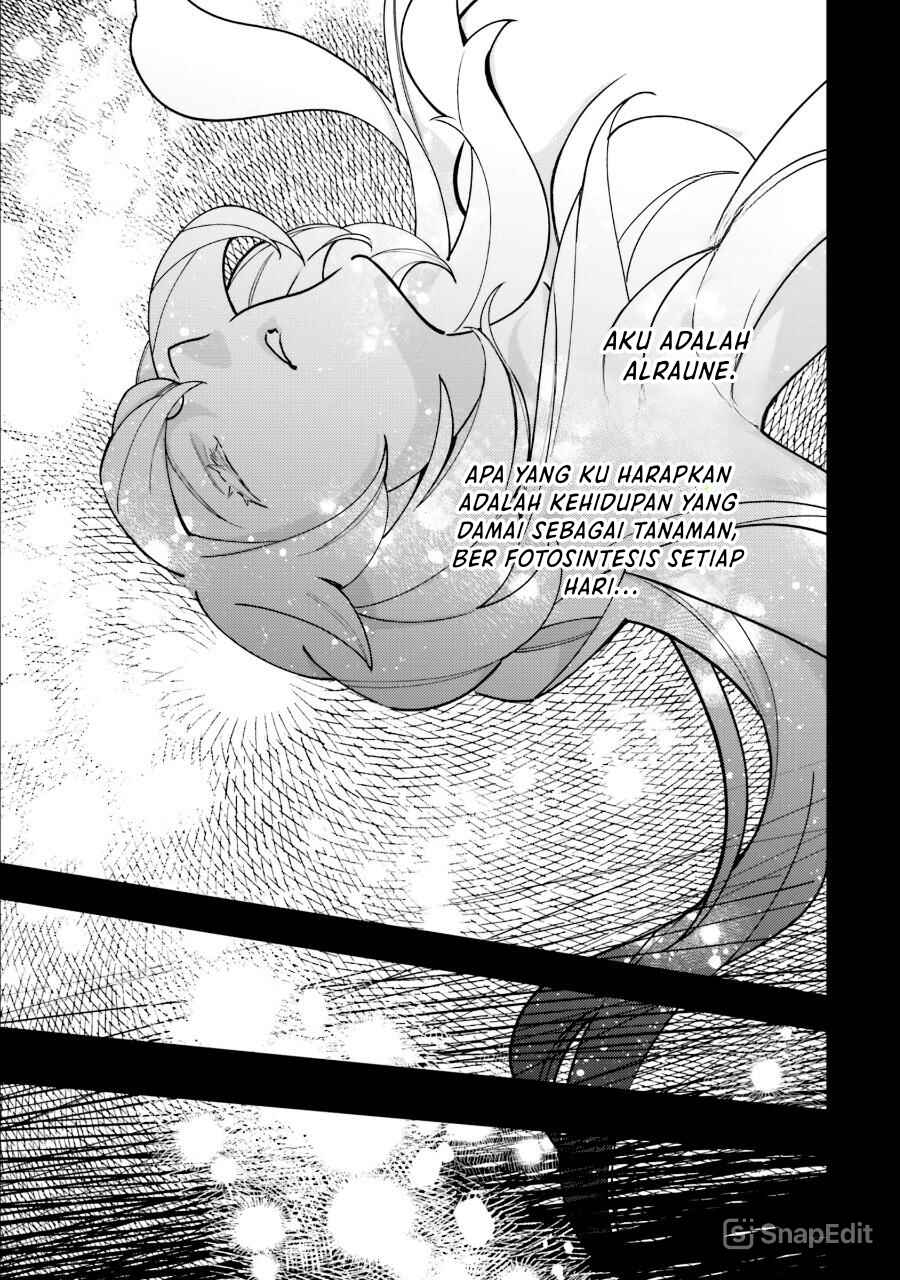 Shokubutsu Monster Musume Nikki: Seijo datta Watashi ga Uragirareta Hate ni Alraune ni Tensei Shite Shimatta node, kore kara wa Kougousei o Shinagara Shizuka ni Shokubutsu Life o Sugoshimasu Chapter 14 - Page 26