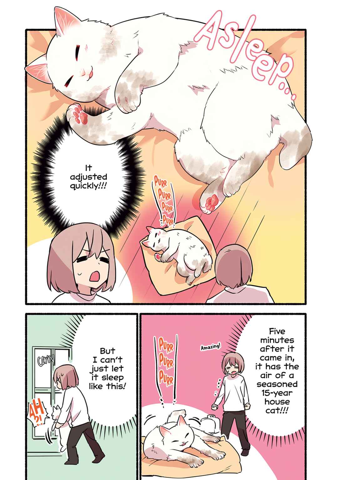 Aisaretagari no Shironeko Miko-san Chapter 5 - Page 20