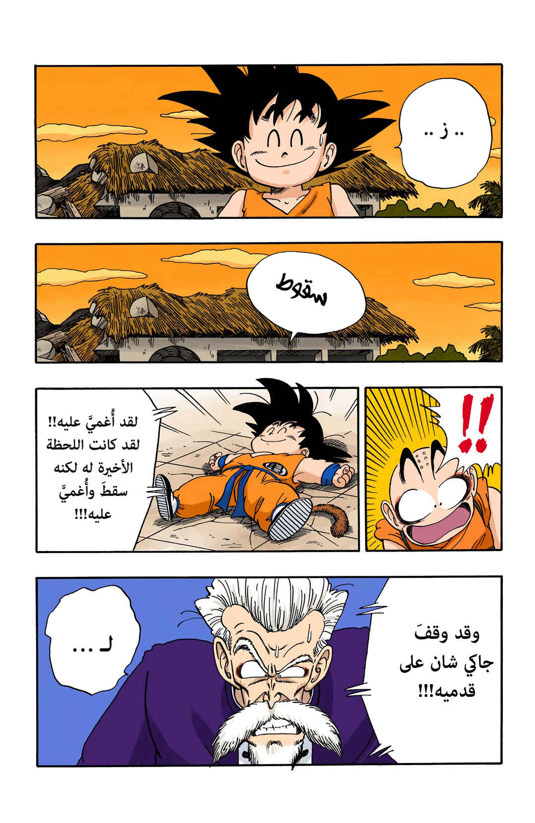 Dragon Ball (Official Colored) Chapter 53 - Page 12