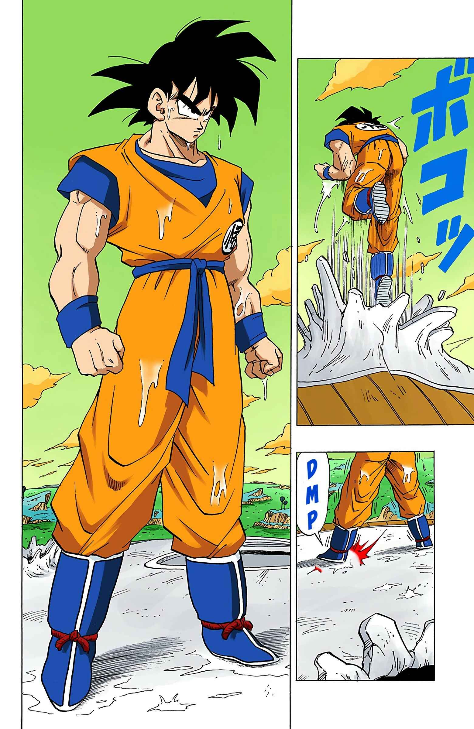 Dragon Ball (Official Colored) Chapter 306 - Page 13