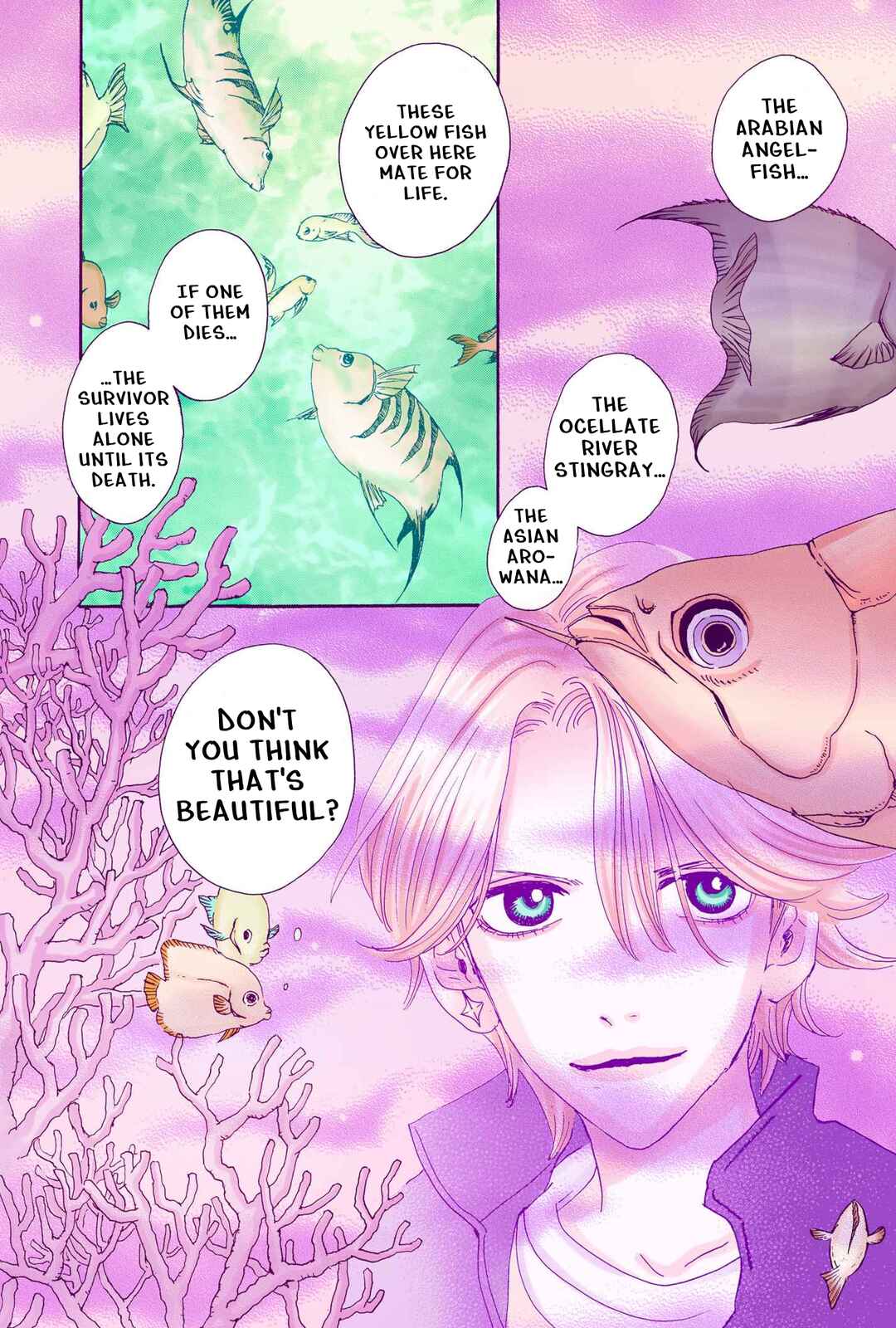 Sugar Sugar Rune Chapter 8 - Page 29