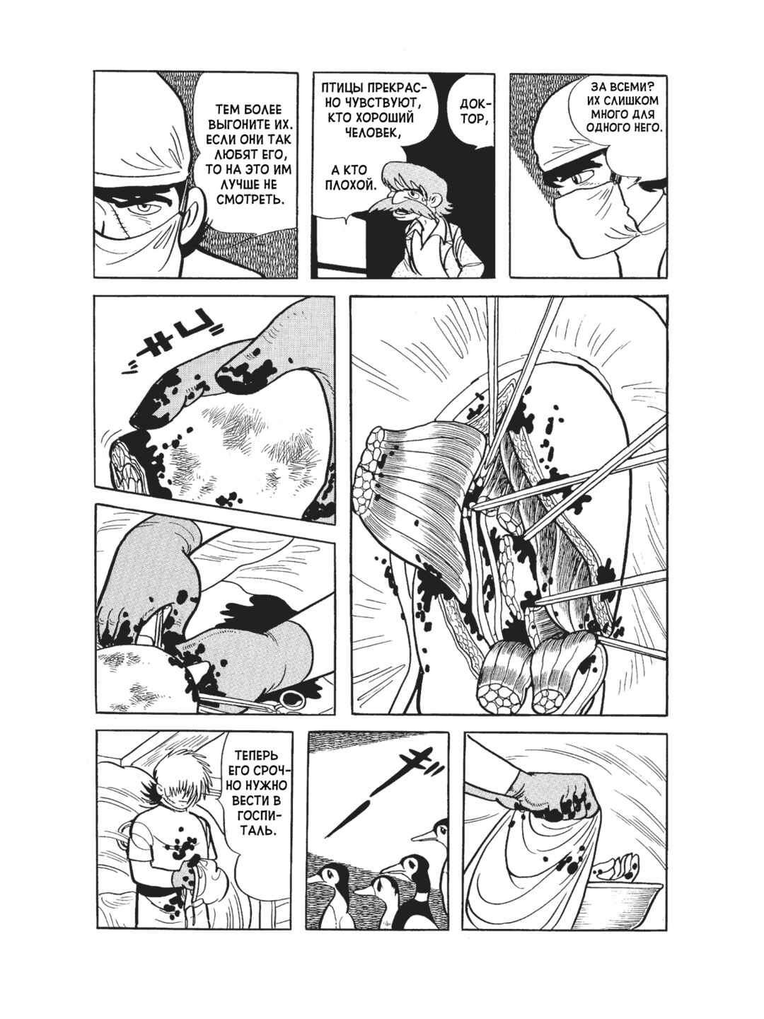 Black Jack Chapter 84 - Page 10