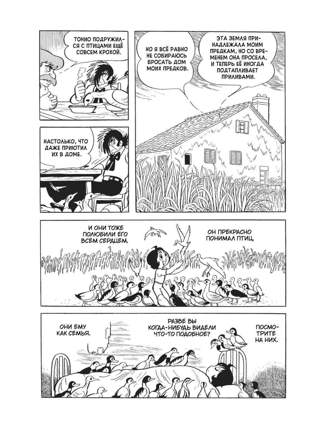 Black Jack Chapter 84 - Page 12