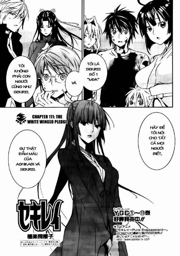 Sekirei Chapter 111 - Page 1