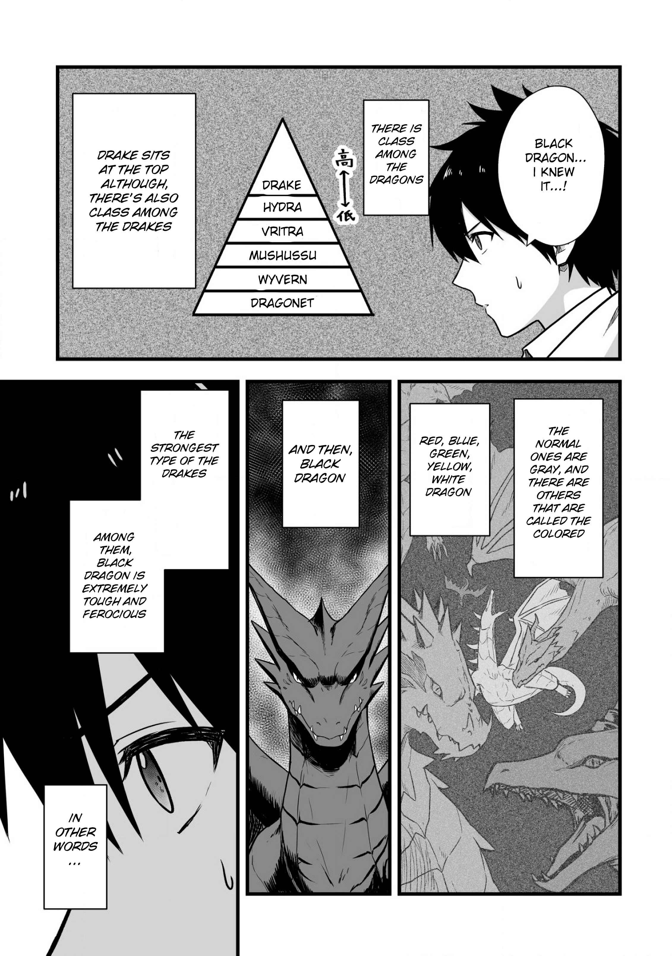 Yuiitsu Muni no Saikyou Tamer: Koku no Subete no Guild de Monzenbarai sareta kara, Takoku ni Itte Slow Life Shimasu Chapter 3 - Page 11