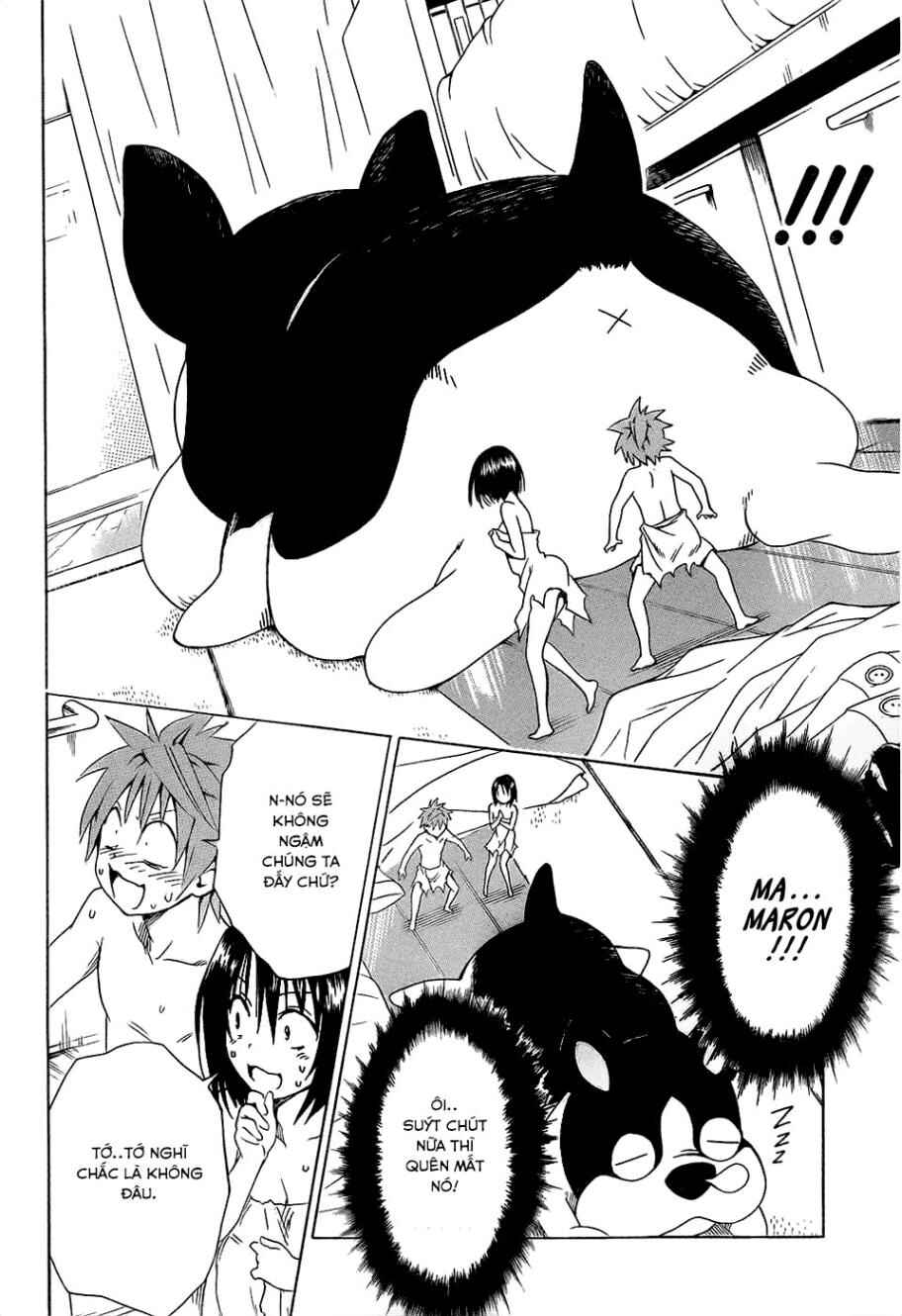 To Love Ru Darkness Chapter 54 - Page 31