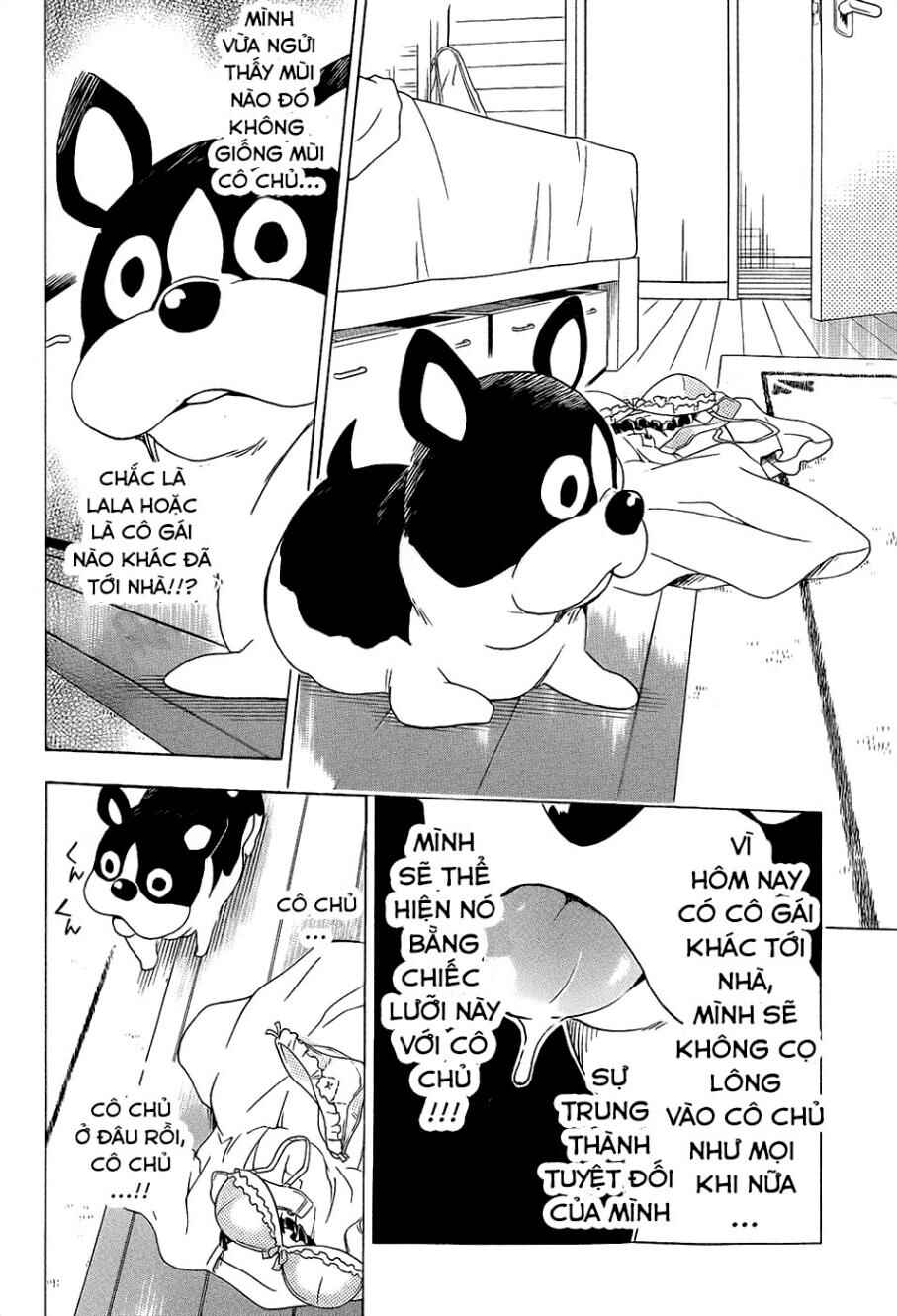 To Love Ru Darkness Chapter 54 - Page 33