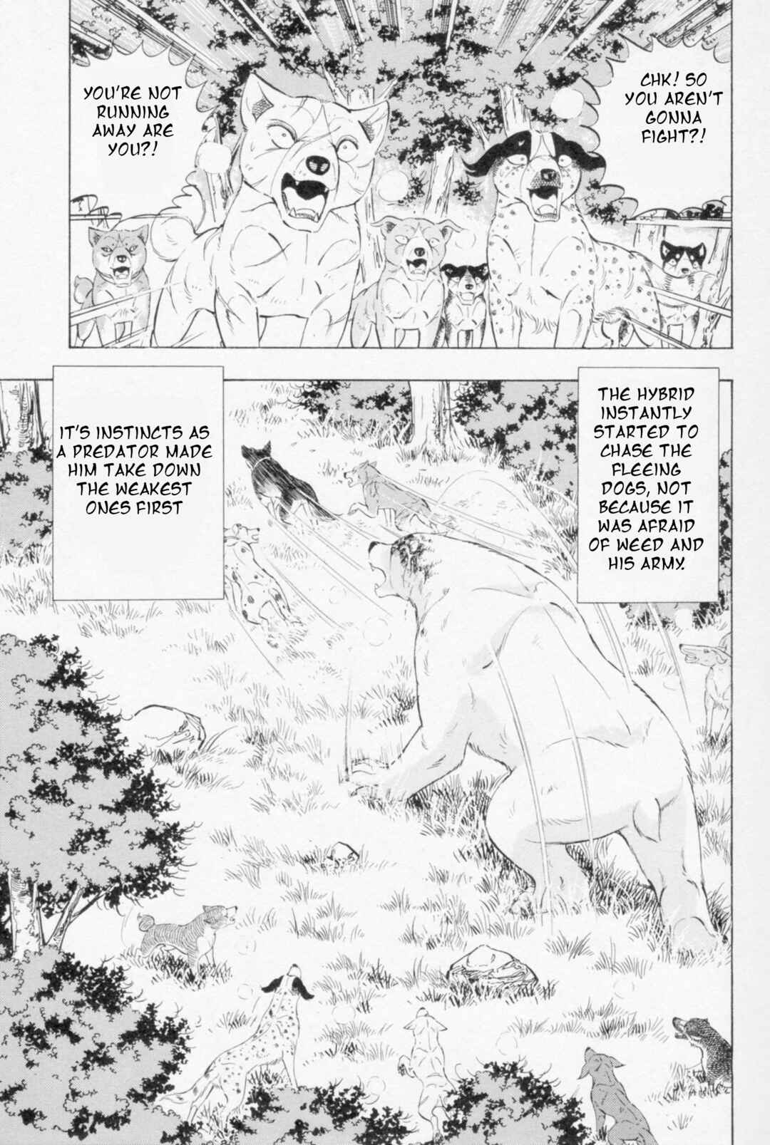 Ginga Densetsu Weed Chapter 446 - Page 5