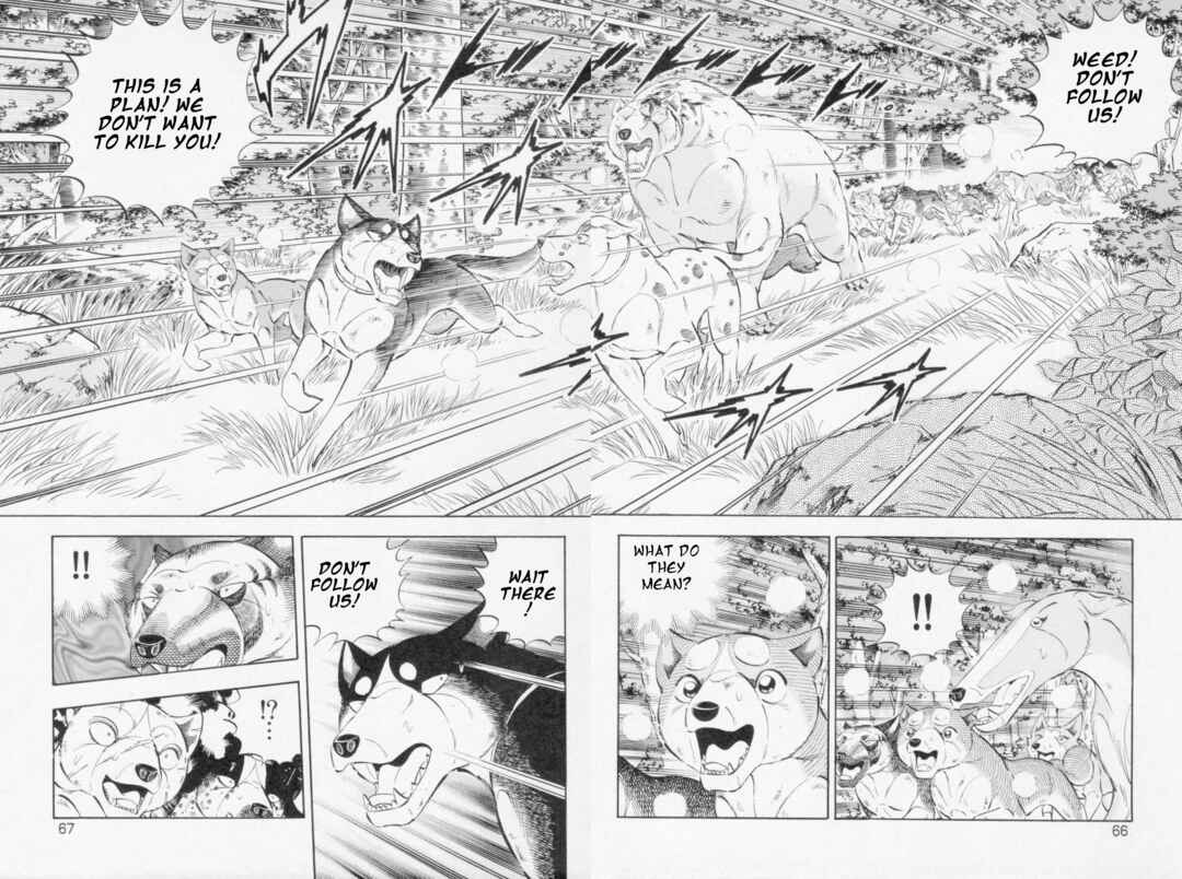 Ginga Densetsu Weed Chapter 446 - Page 7