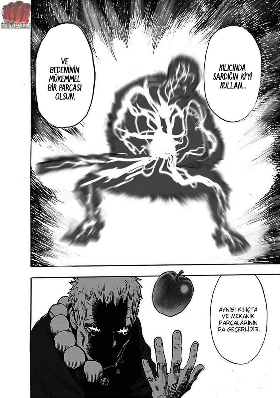 One Punch-Man Chapter 193 - Page 13