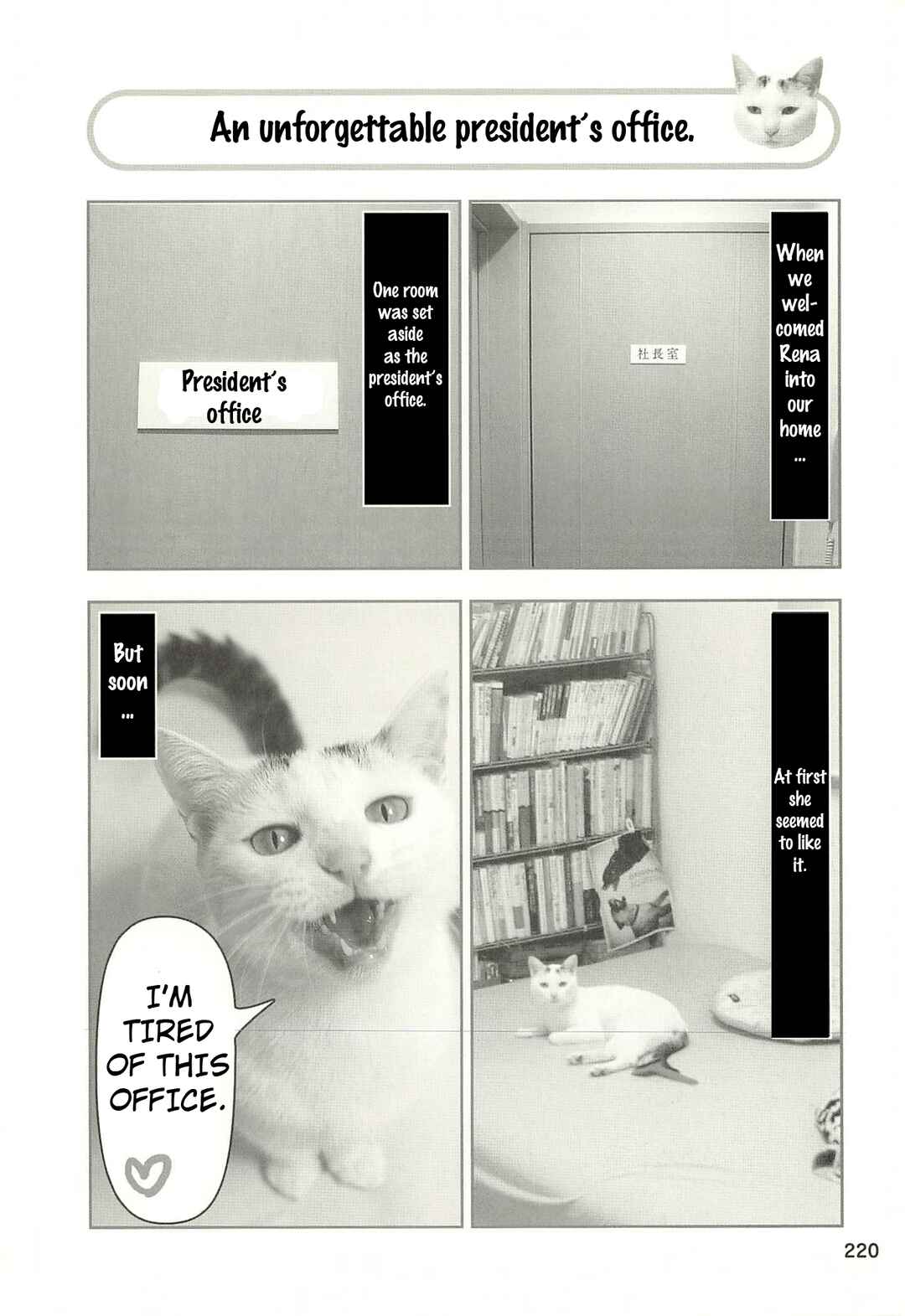Sukeban Shachou Rena Chapter 53 - Page 1