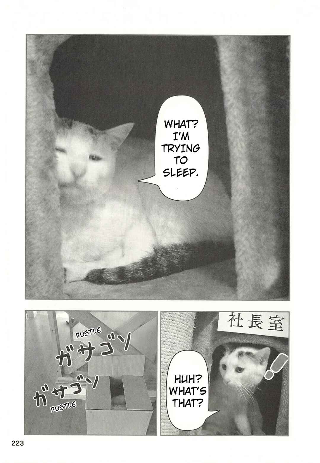 Sukeban Shachou Rena Chapter 53 - Page 4