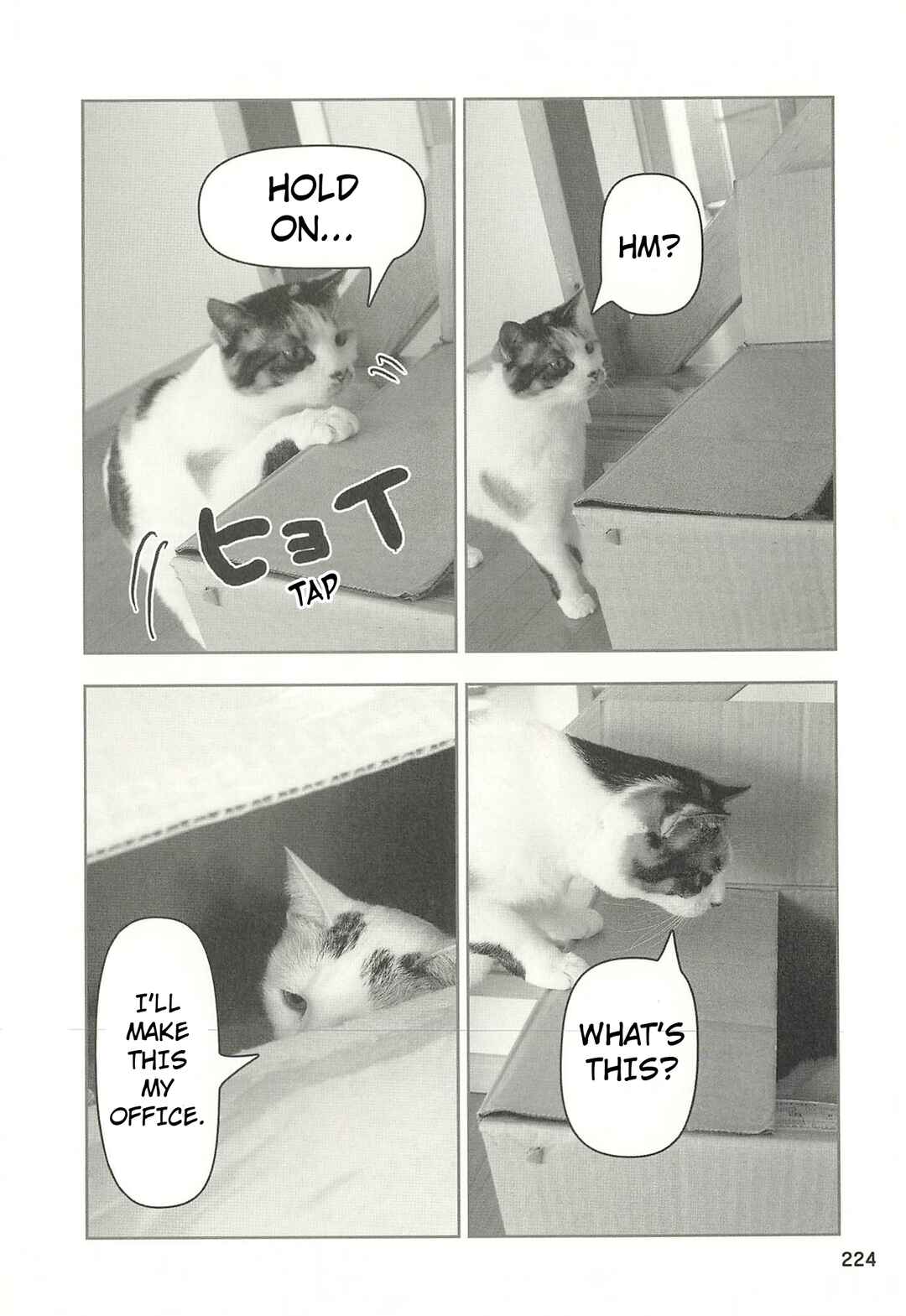 Sukeban Shachou Rena Chapter 53 - Page 5