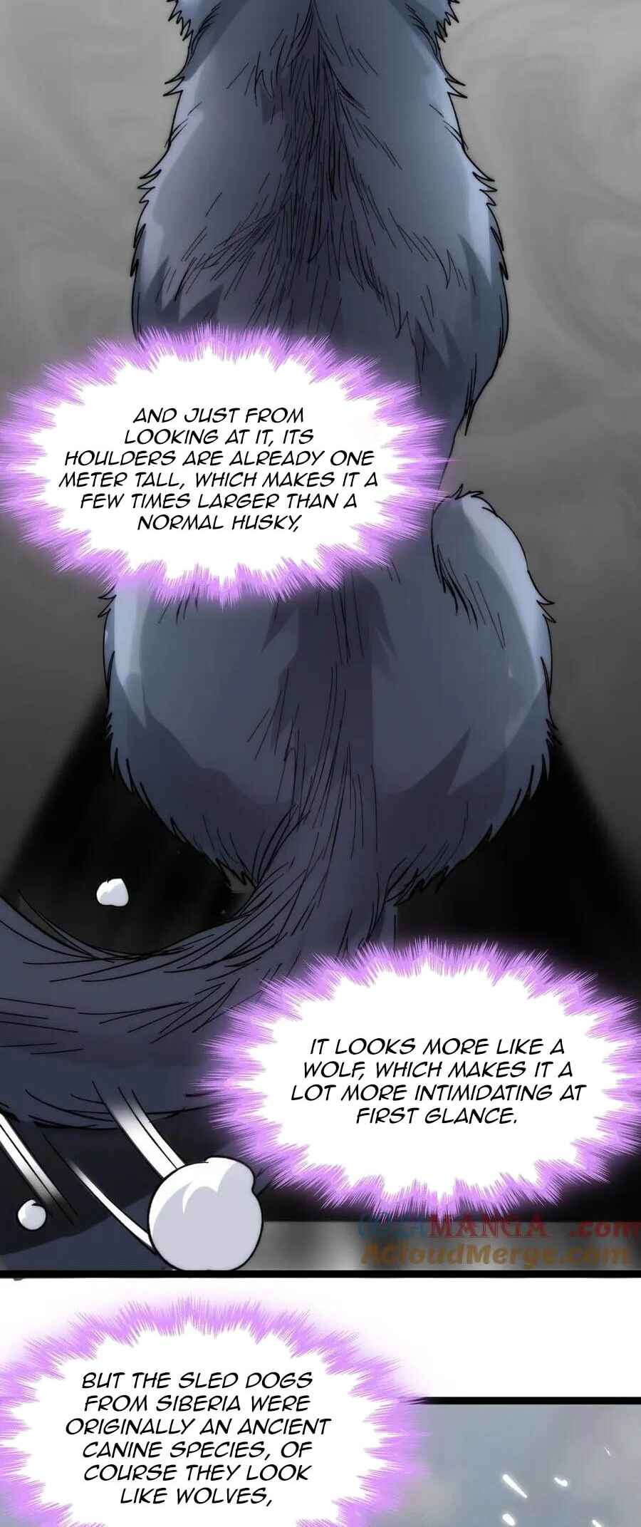 I'm Really Not the Demon God's Lackey Chapter 122 - Page 17