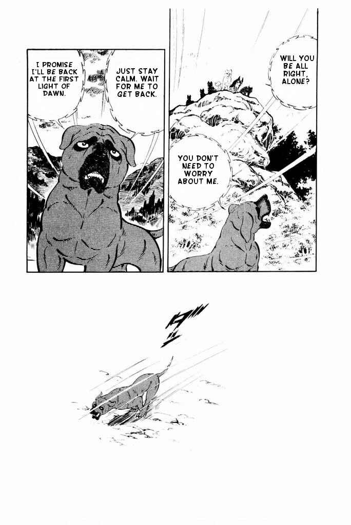 Silver Fang – The Shooting Star Gin – Chapter 25 - Page 18