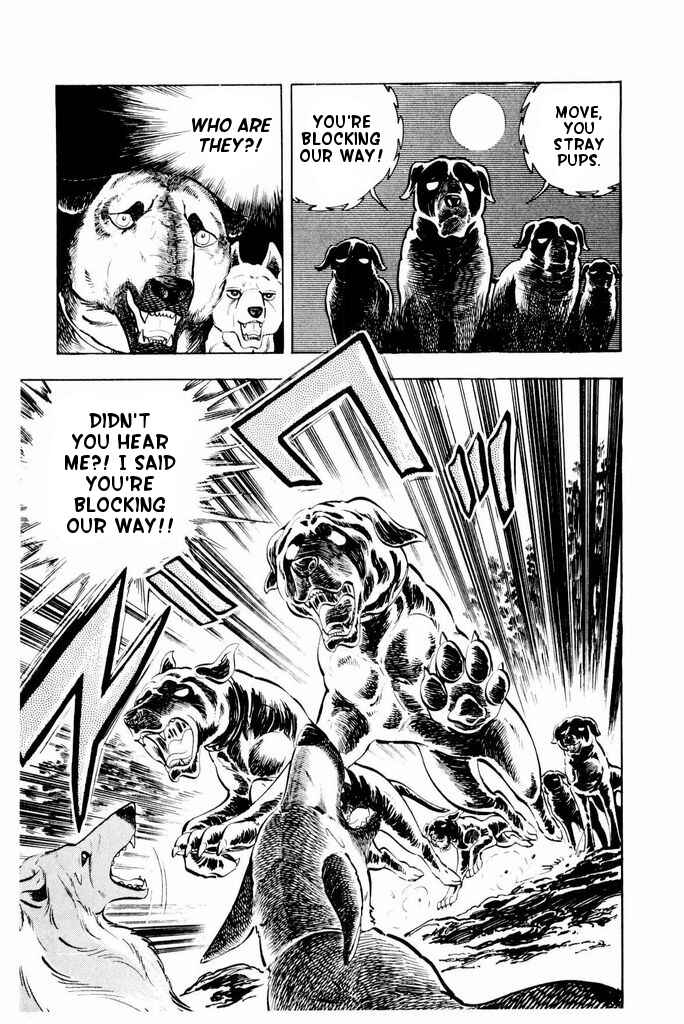 Silver Fang – The Shooting Star Gin – Chapter 25 - Page 30