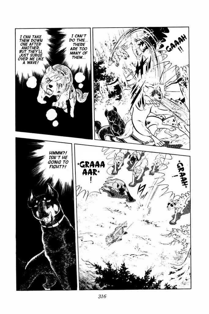 Silver Fang – The Shooting Star Gin – Chapter 25 - Page 42