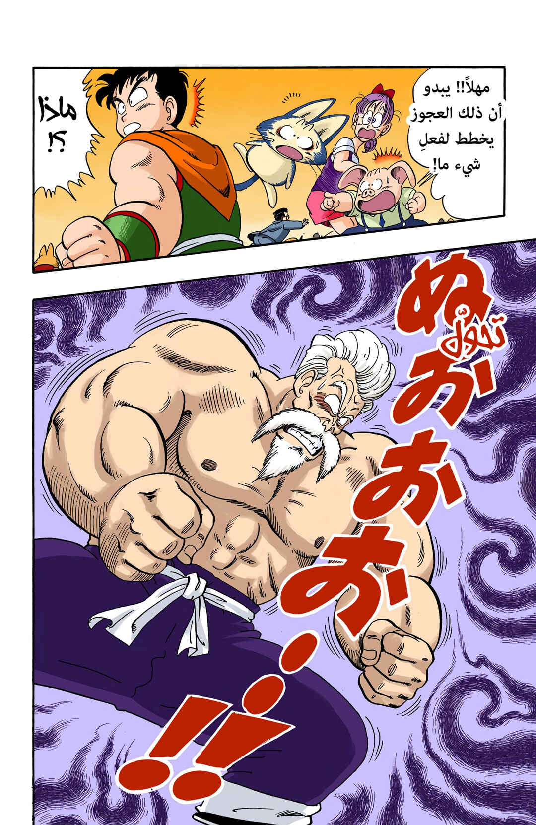 Dragon Ball (Official Colored) Chapter 51 - Page 10