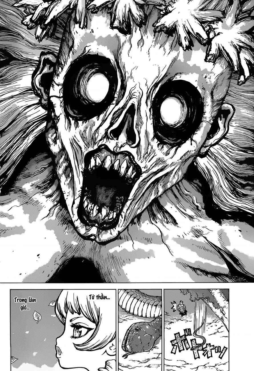 Dr.STONE Chapter 49 - Page 10