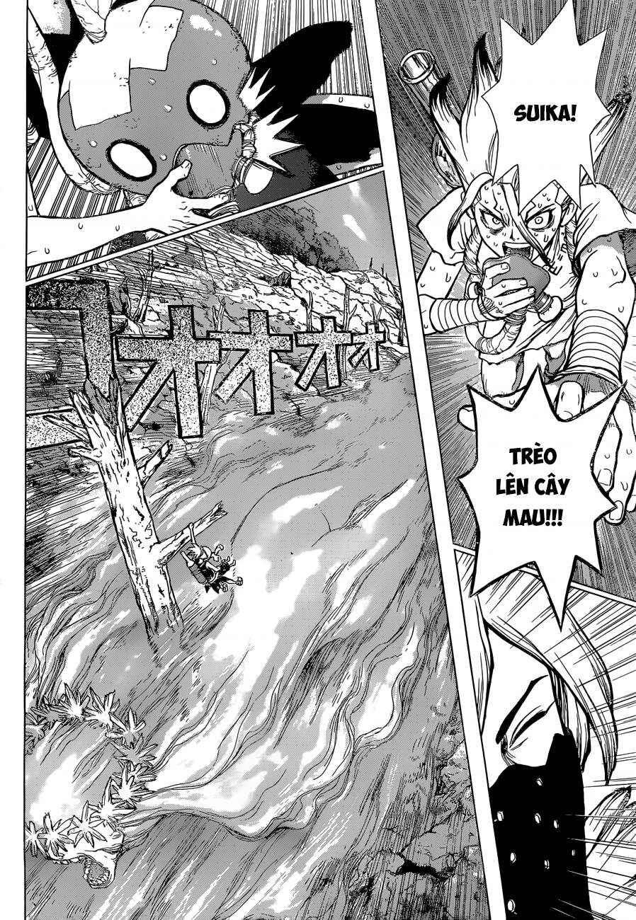 Dr.STONE Chapter 49 - Page 12