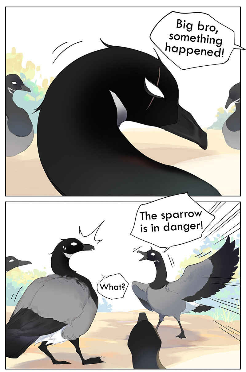 Southern Bird and Northern Bird Chapter 44 - Page 1