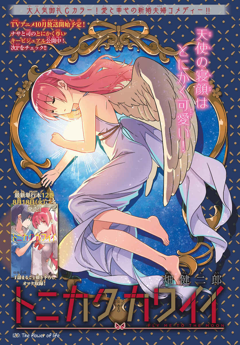 Tonikaku Kawaii Chapter 120 - Page 1