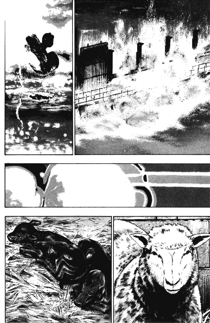 Shamo Chapter 167 - Page 4