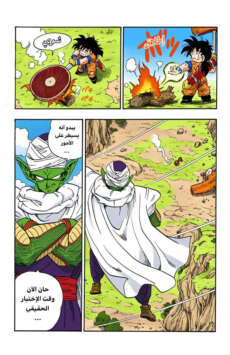 Dragon Ball (Official Colored) Chapter 209 - Page 14