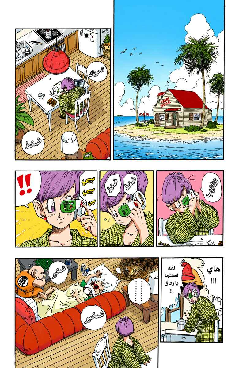 Dragon Ball (Official Colored) Chapter 209 - Page 2