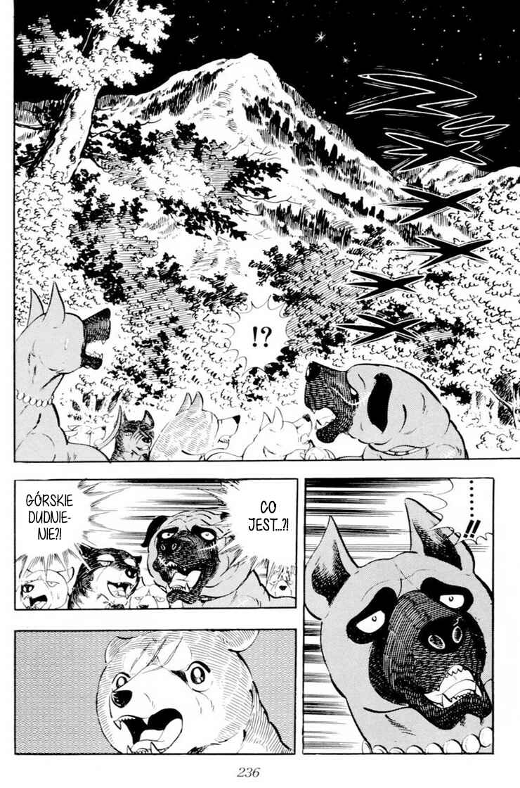 Silver Fang – The Shooting Star Gin – Chapter 35 - Page 15