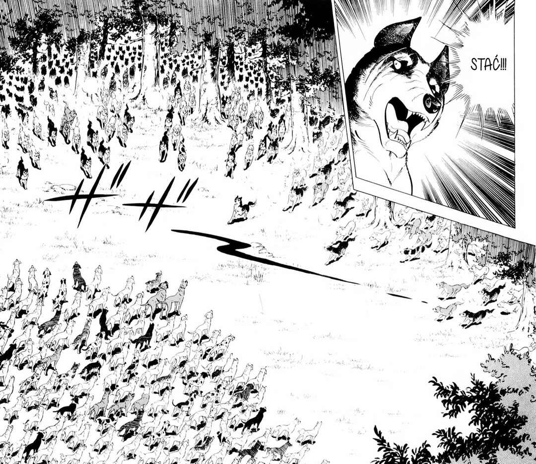 Silver Fang – The Shooting Star Gin – Chapter 35 - Page 19