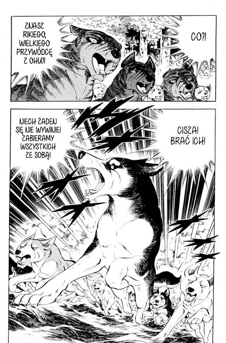 Silver Fang – The Shooting Star Gin – Chapter 35 - Page 22