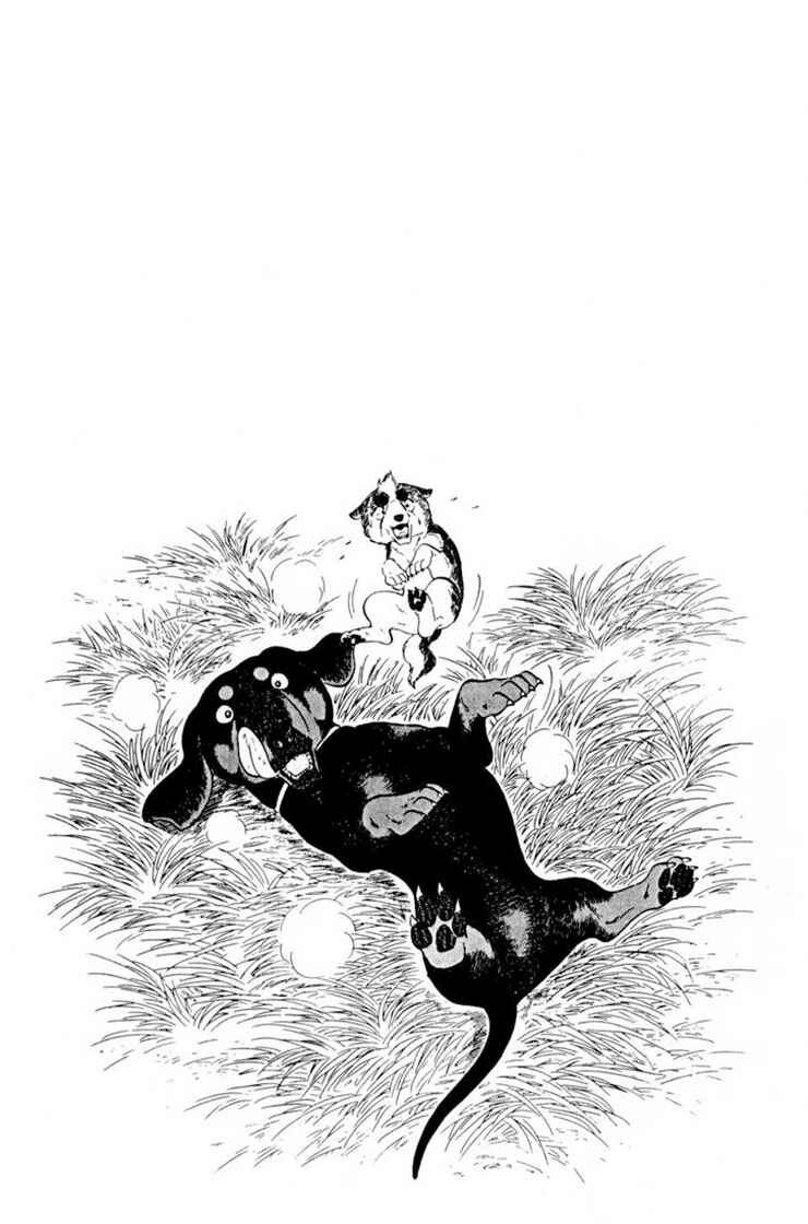 Silver Fang – The Shooting Star Gin – Chapter 35 - Page 32