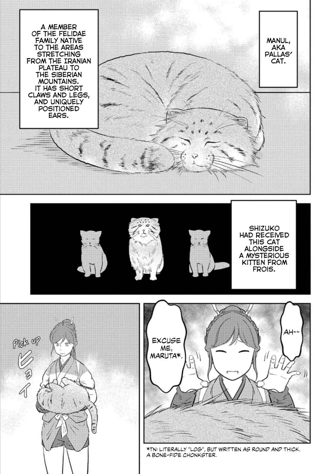 Sengoku Komachi Kuroutan Chapter 57 - Page 13