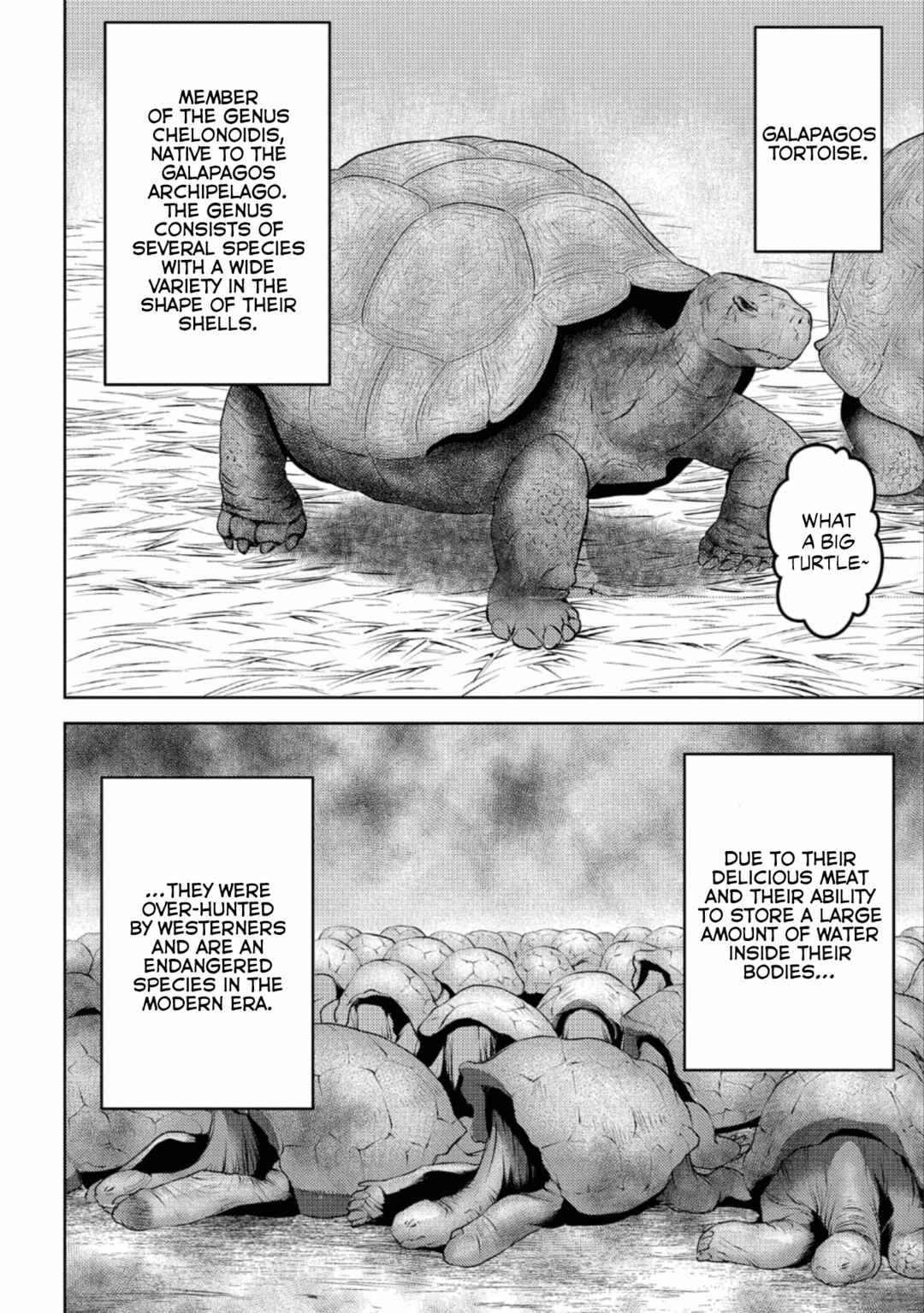 Sengoku Komachi Kuroutan Chapter 57 - Page 6