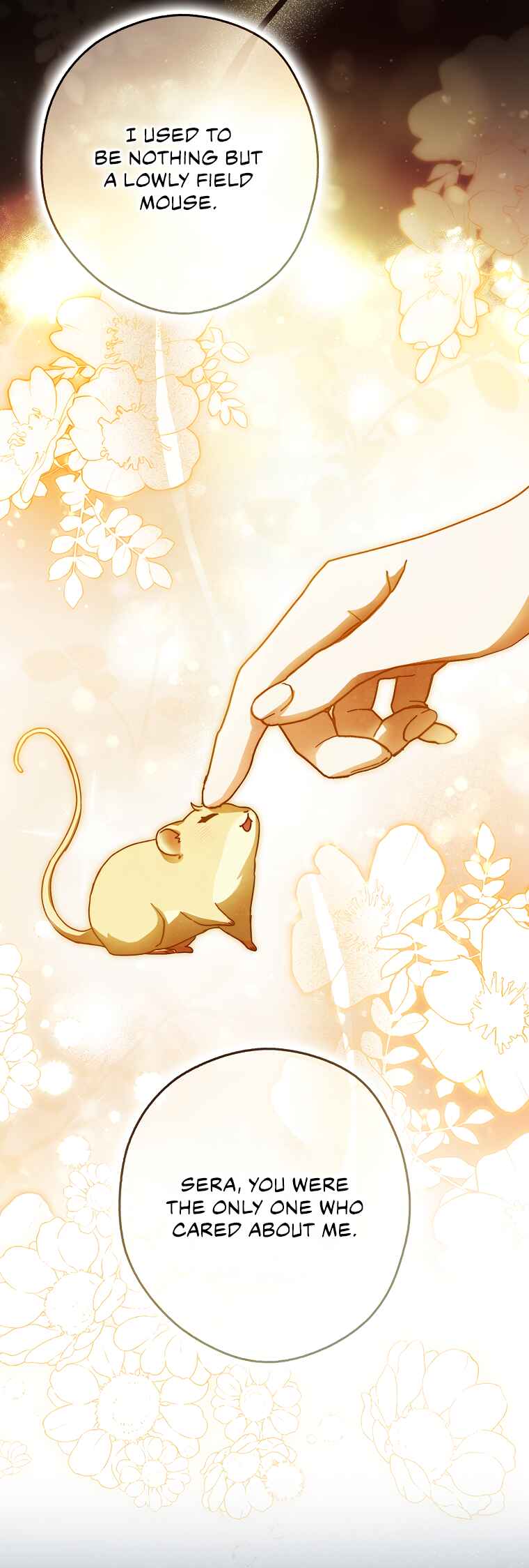 Cinderella's Pocket-Sized Protector Chapter 17 - Page 5