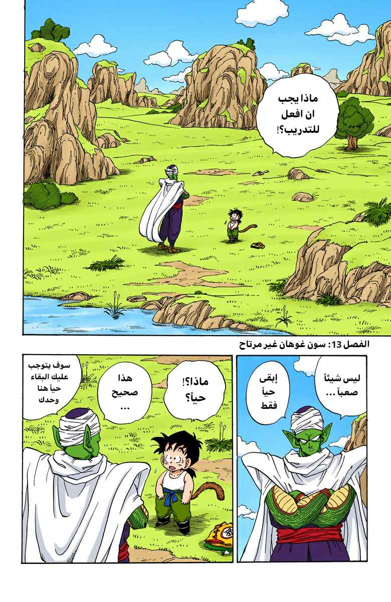 Dragon Ball (Official Colored) Chapter 207 - Page 1
