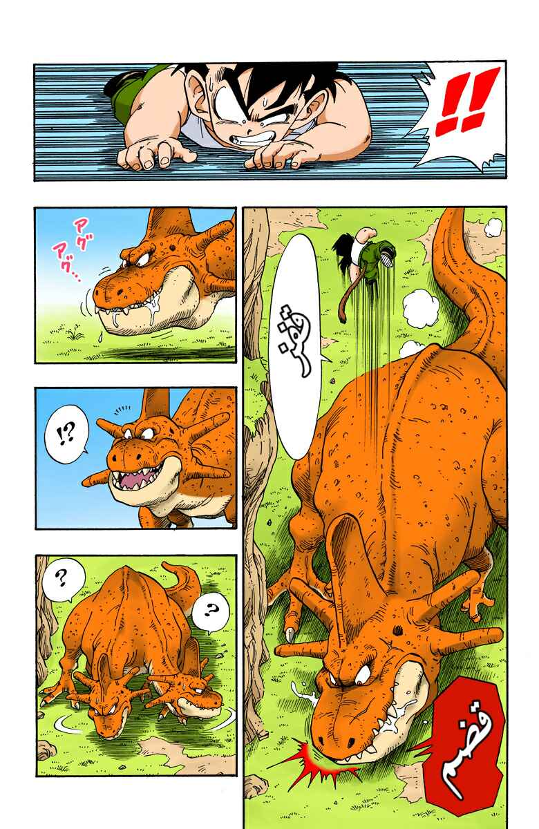 Dragon Ball (Official Colored) Chapter 207 - Page 10