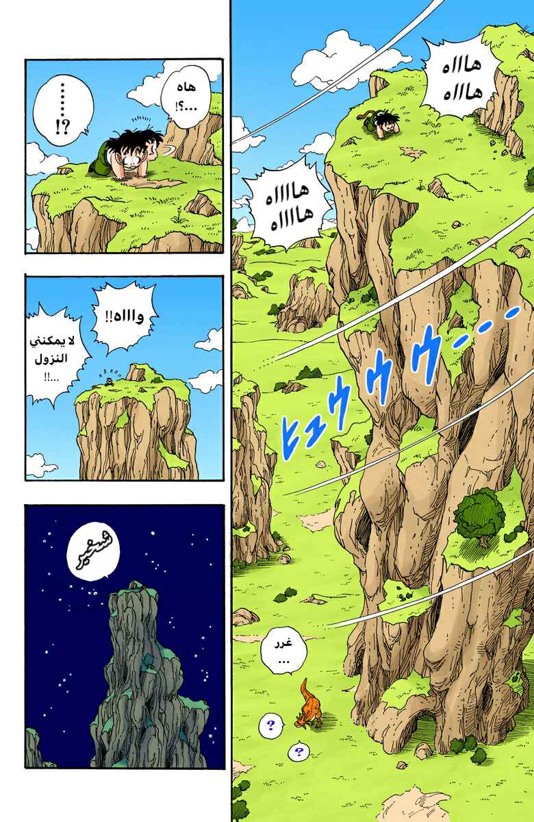 Dragon Ball (Official Colored) Chapter 207 - Page 11