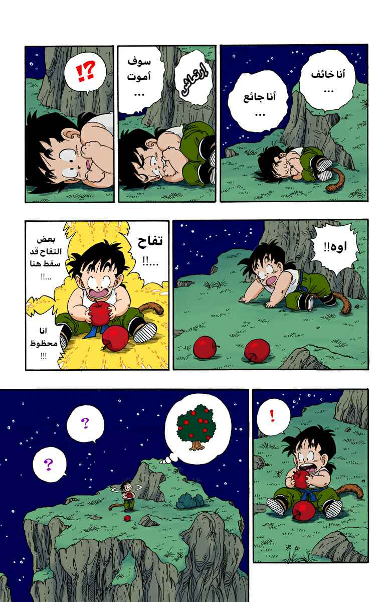 Dragon Ball (Official Colored) Chapter 207 - Page 12
