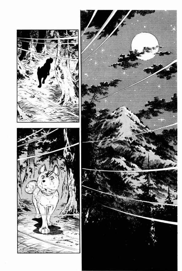 Silver Fang – The Shooting Star Gin – Chapter 10 - Page 11