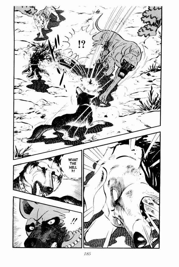 Silver Fang – The Shooting Star Gin – Chapter 10 - Page 27